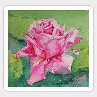 Watercolor Pink Rose Sticker